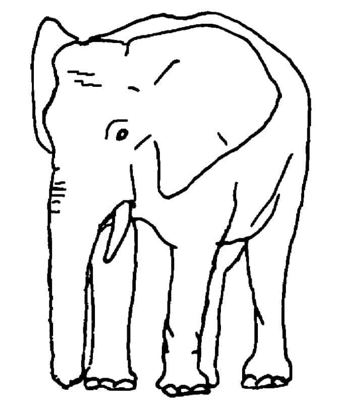 Tegning Av Elefant fargeleggingsside