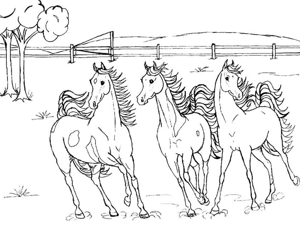 Tre Hester Som Løper fargeleggingsside