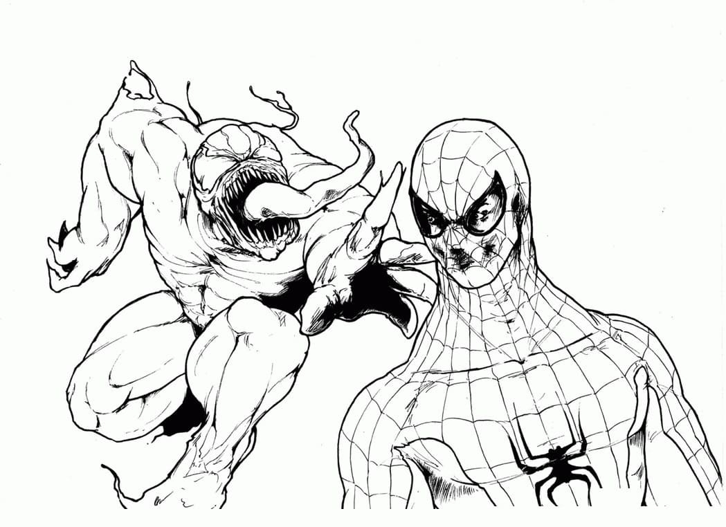 Venom Angriper Spiderman fargeleggingsside