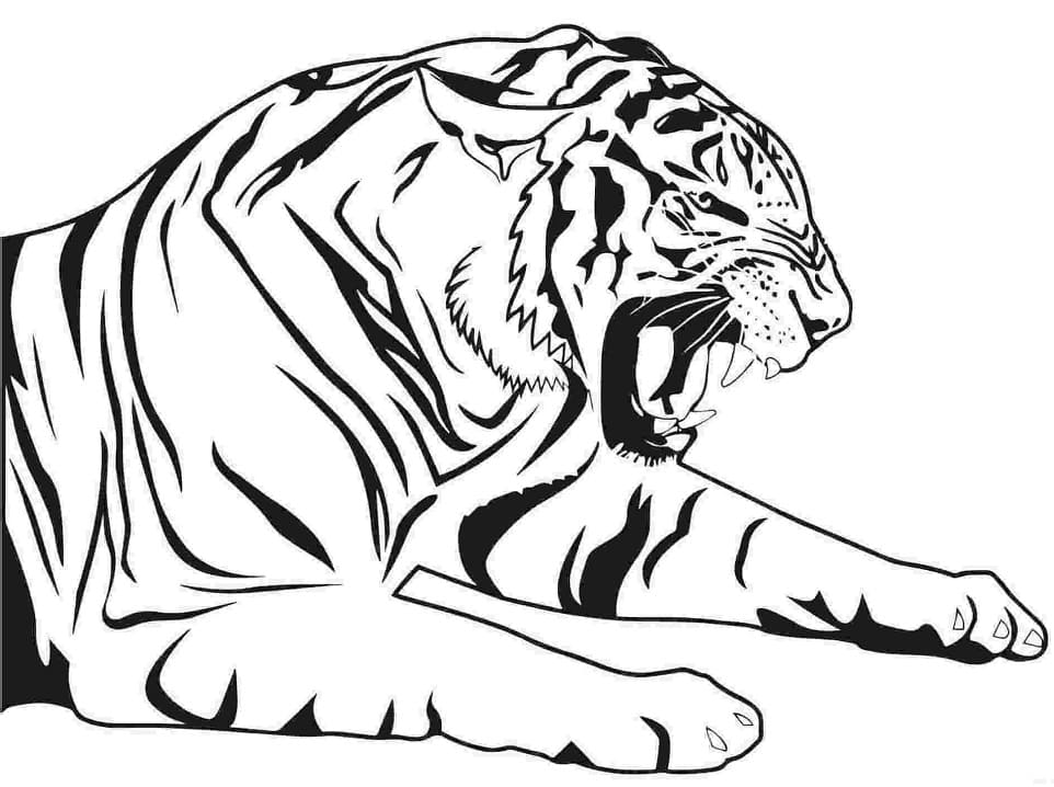 Fin Tiger fargeleggingsside
