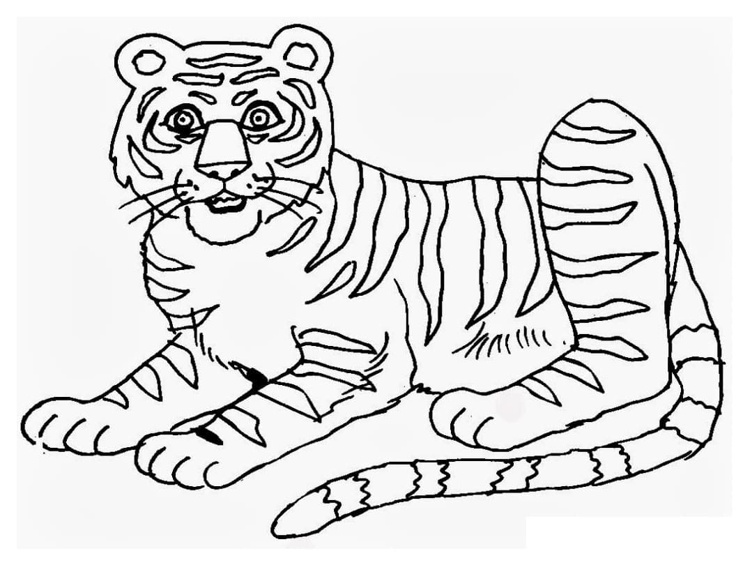 Flott Tiger fargelegging