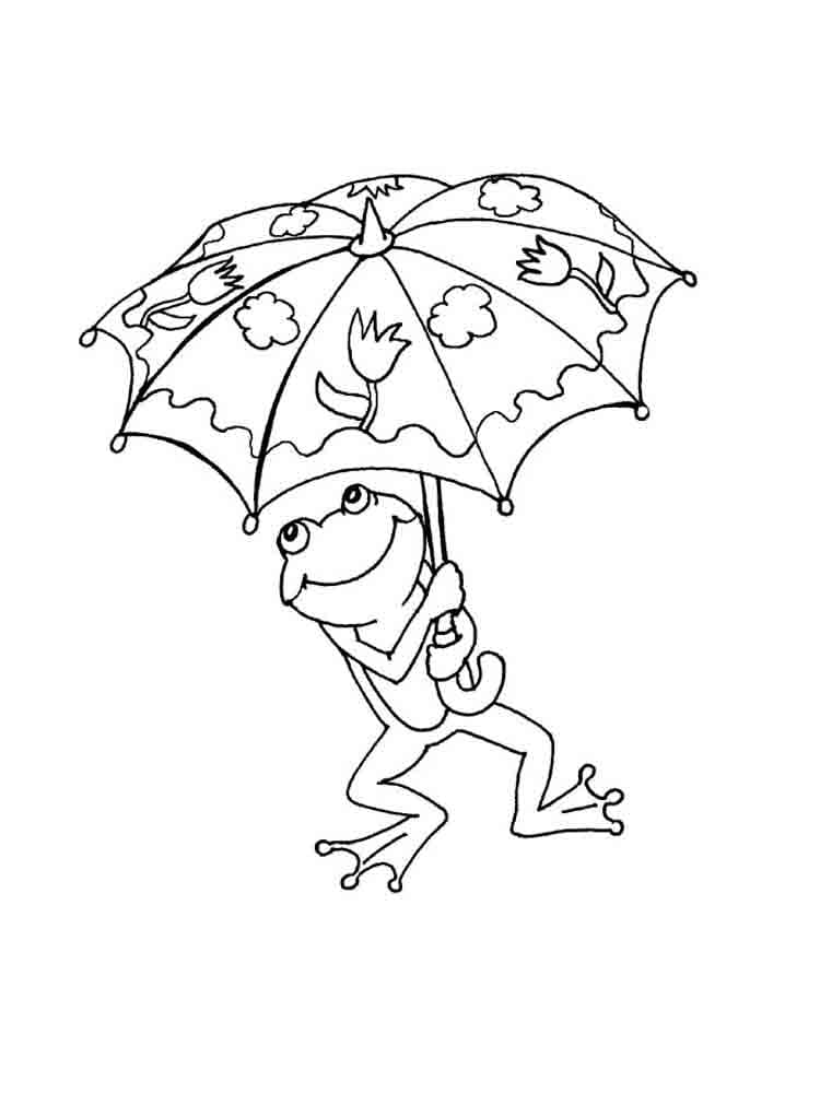 Frosk Med Paraply fargelegging