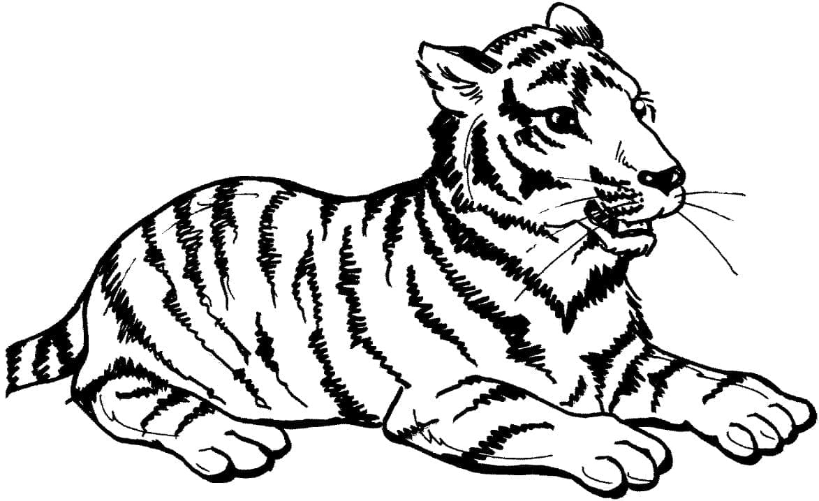 Grunnleggende Tiger Liggende fargeleggingsside