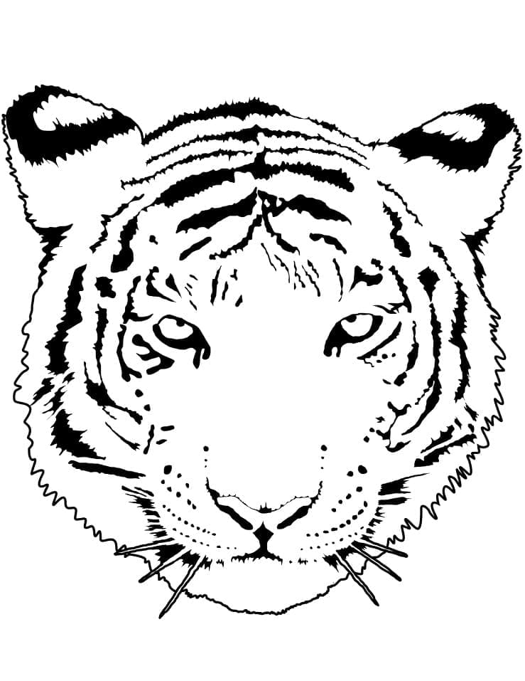 Grunnleggende Tigerhode fargelegging