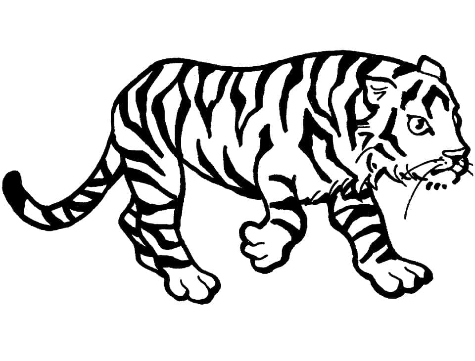 Håndtegnet Tiger Som Går fargelegging