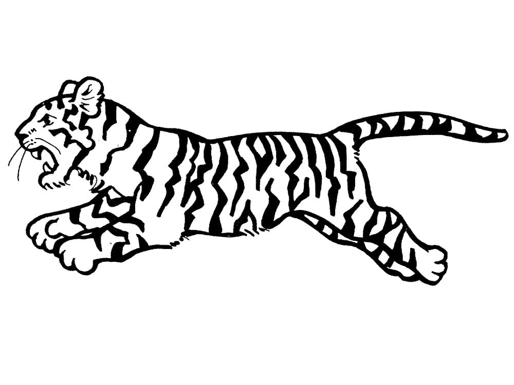 Løpende Tiger fargeleggingsside