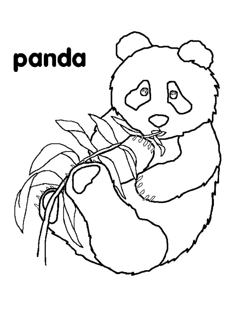 Morsom Panda fargeleggingsside
