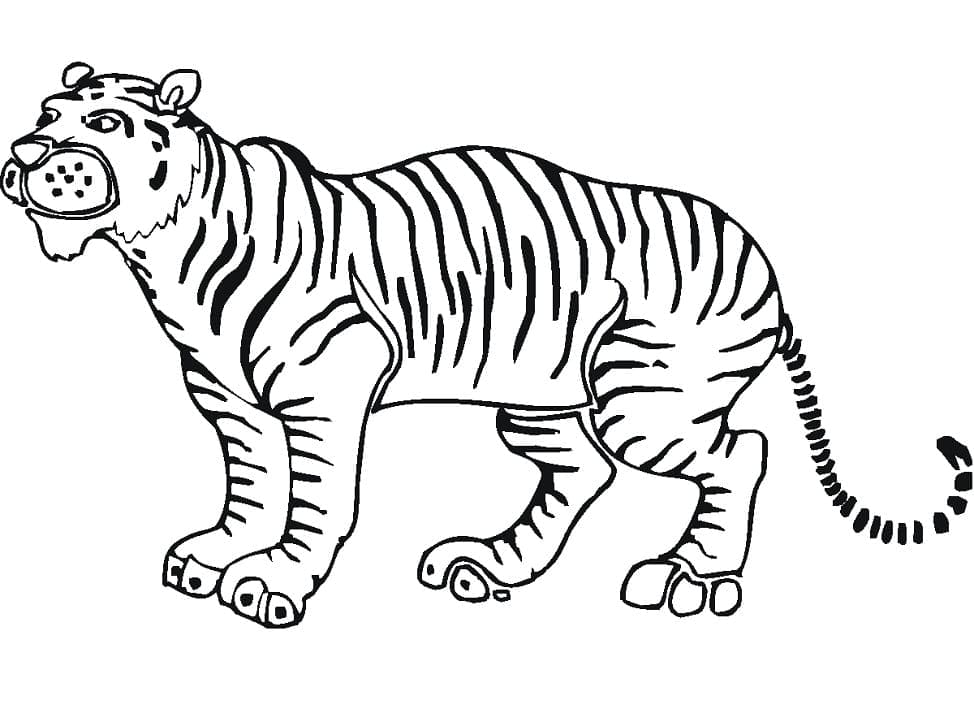 Normal Tiger fargelegging