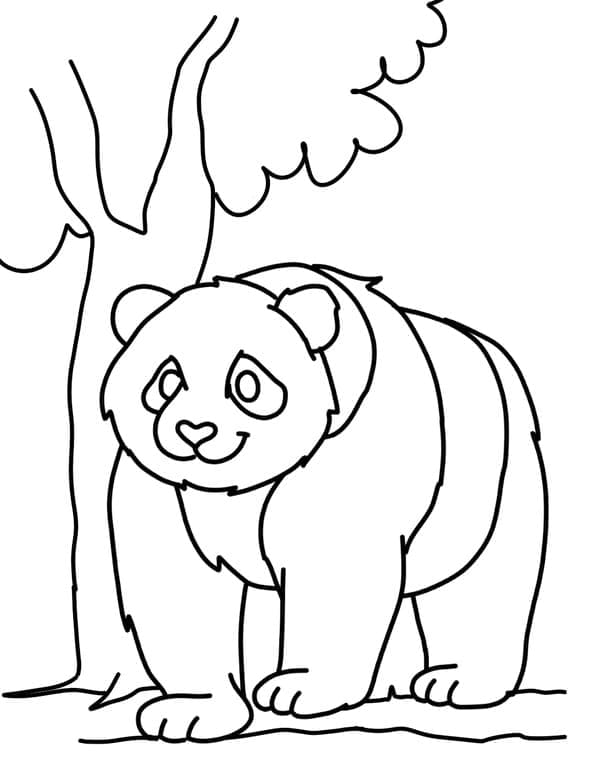 Panda Nær Treet fargelegging