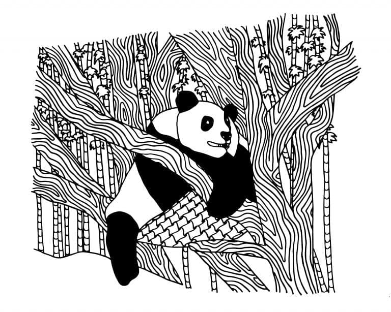 Panda På Treet fargeleggingsside