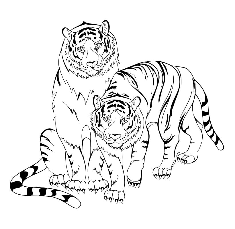 Par Tiger fargeleggingsside