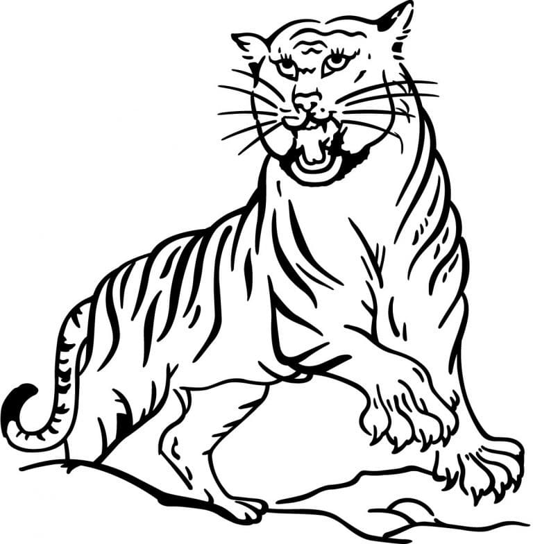 Sint Tiger fargelegging