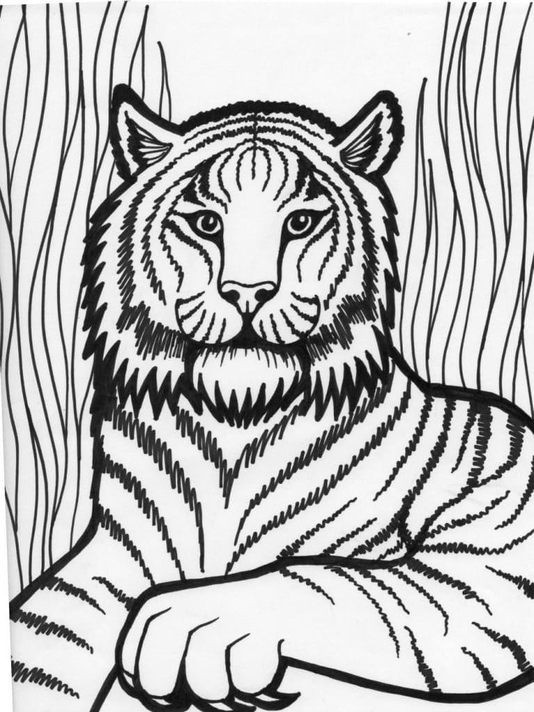 Tiger I Naturen fargeleggingsside