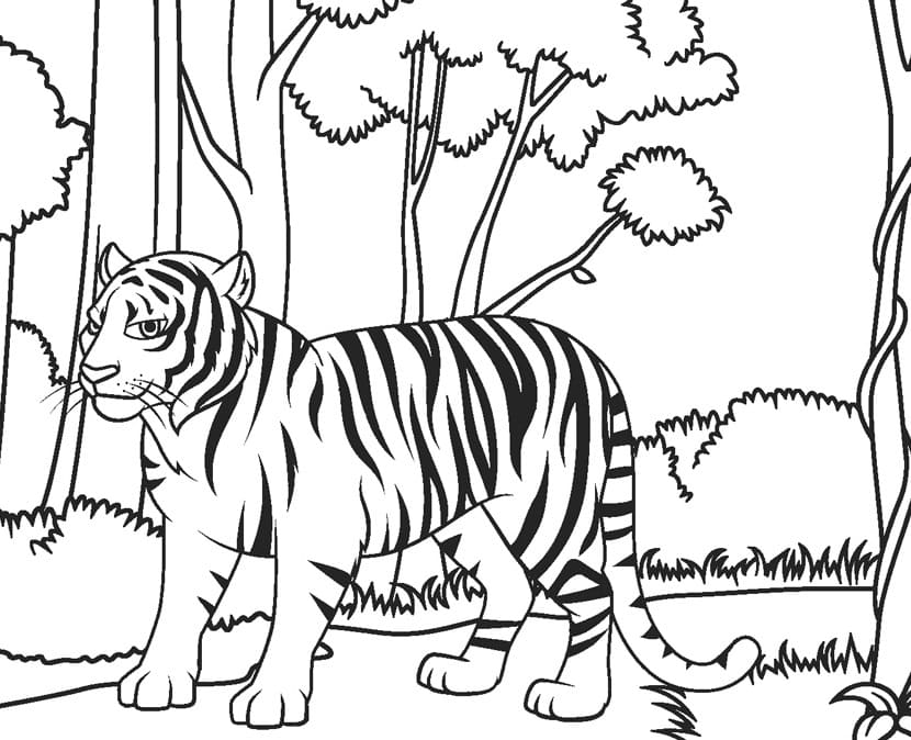 Tiger I Skogen fargeleggingsside