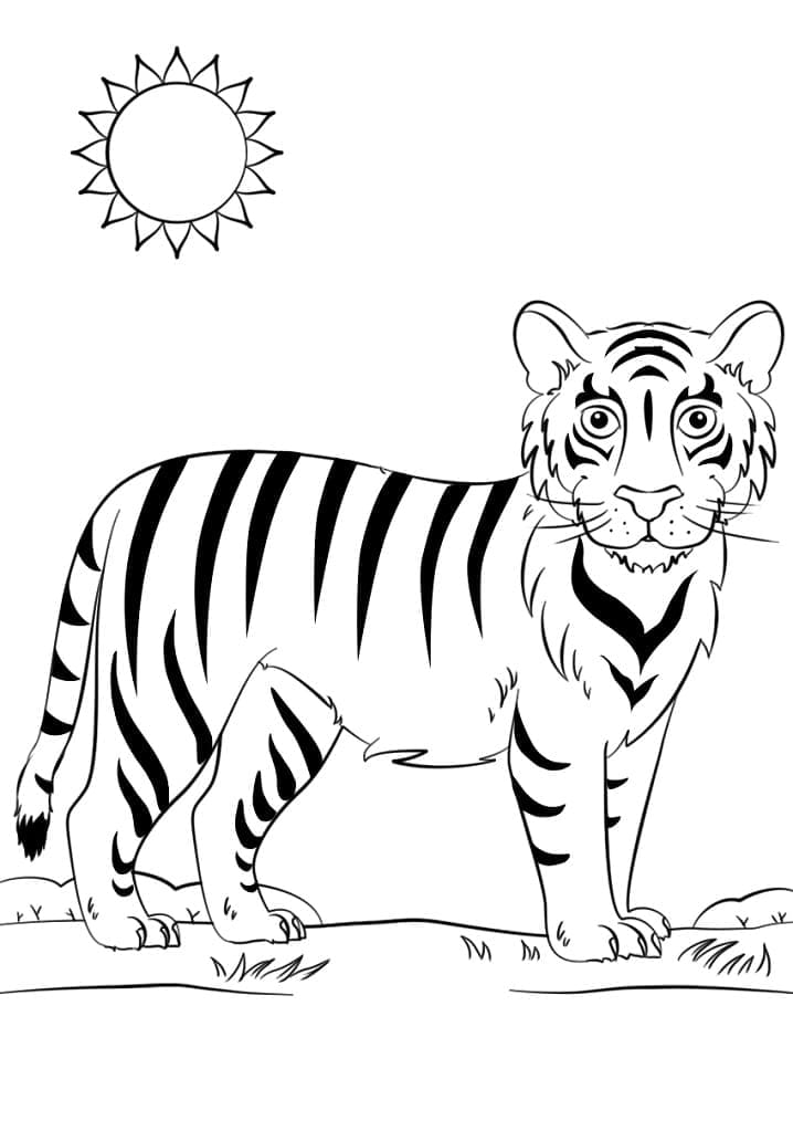 Tiger Med Sol fargelegging