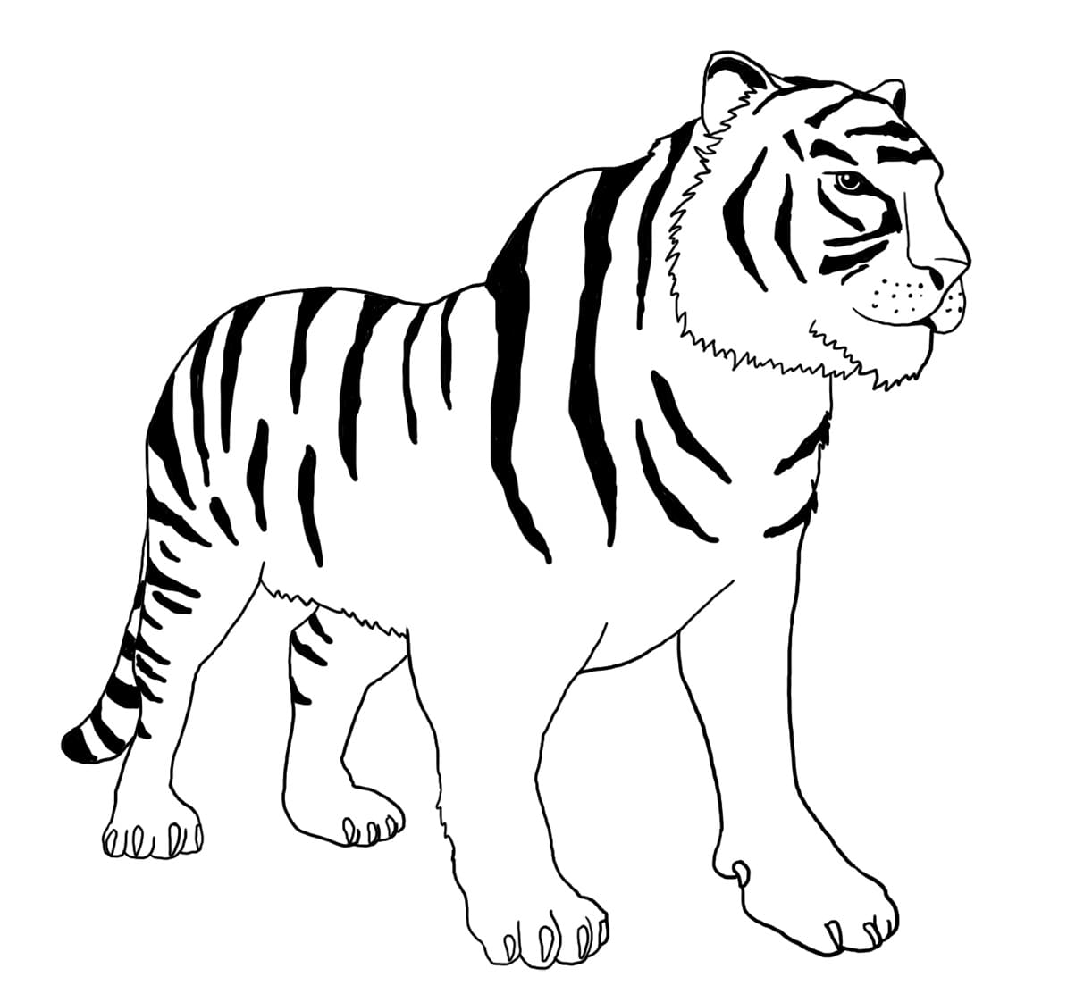 Tigerfri Idé fargelegging