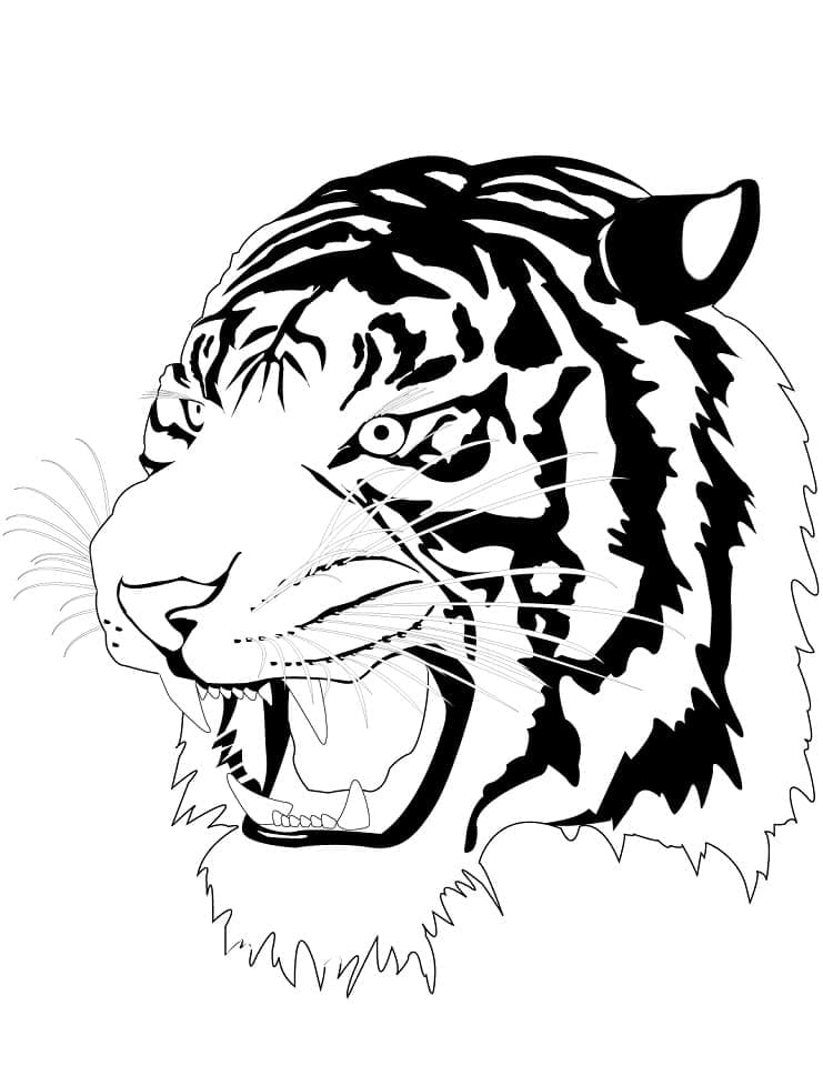 Tigerhode fargeleggingsside