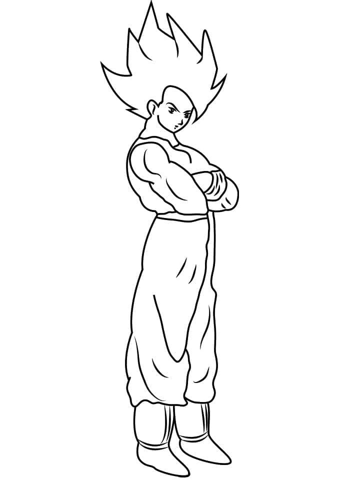 Goku Saiyan fargelegging