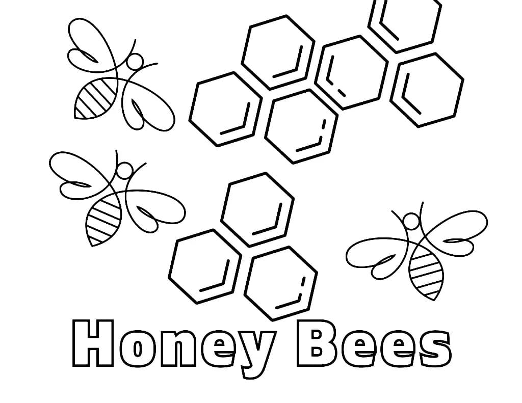 Honning Bier fargeleggingsside