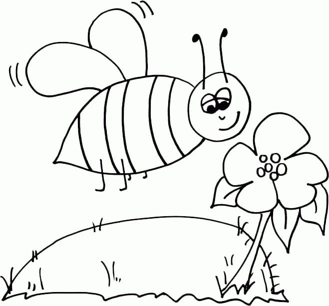 Honningbi Og Blomst fargeleggingsside
