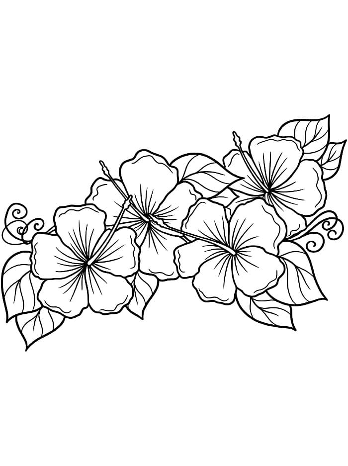 Enkle Blomster fargeleggingsside