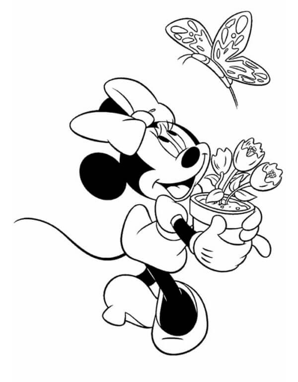 Minnie Mouse Holder Vaseblomst Med Sommerfugl fargelegging