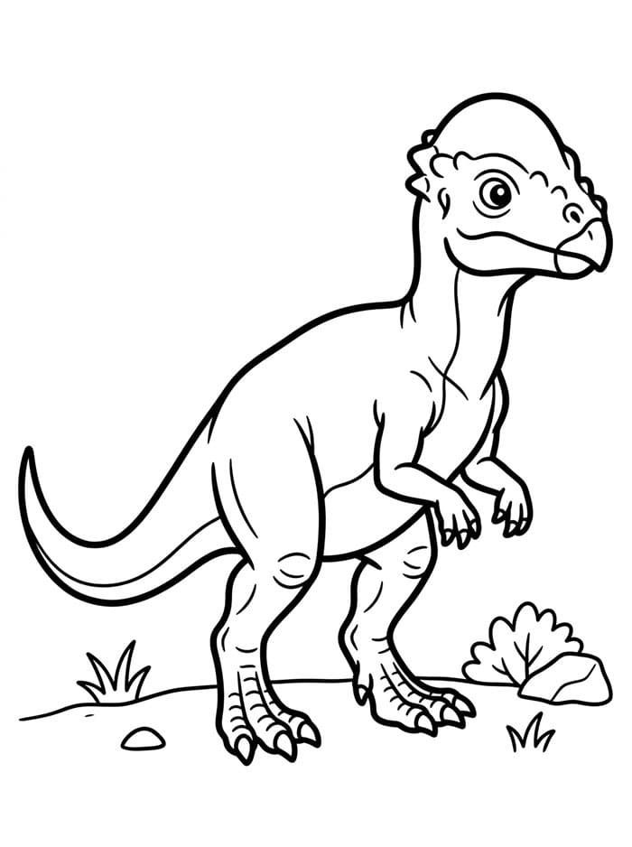 Pachycephalosaurus fargeleggingsside