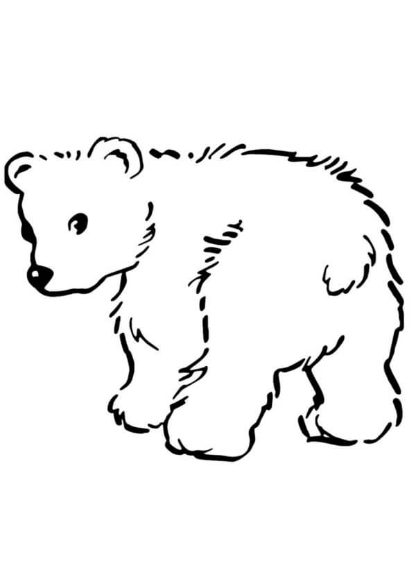 Den Lille Bjørnen Ser Ut Til å Være Borte fargelegging