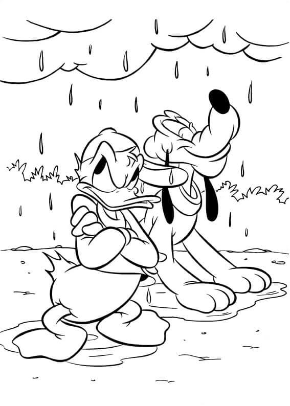 Donald Duck Og Venn i Regnet fargelegging