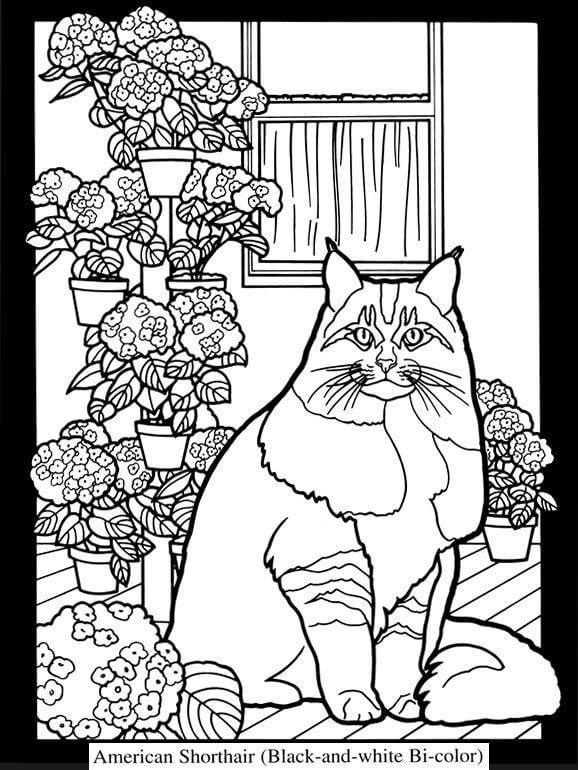 Elegant Katt Mot Bakgrunnen Av Blomster fargelegging