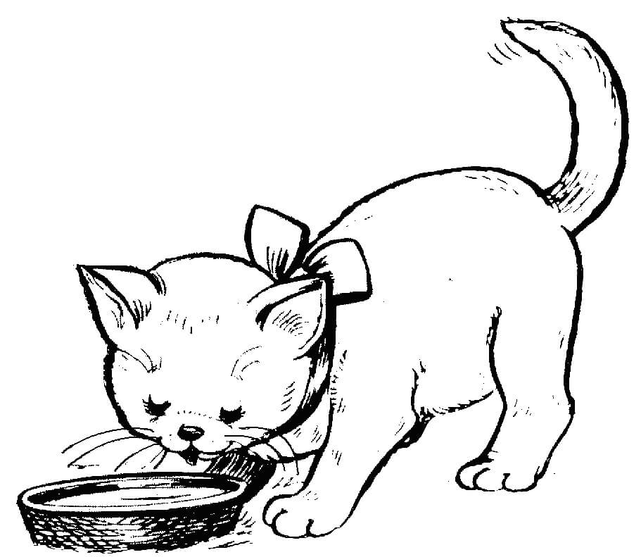 En Bolle Med Melk Til En Katt Med Sløyfe fargeleggingsside