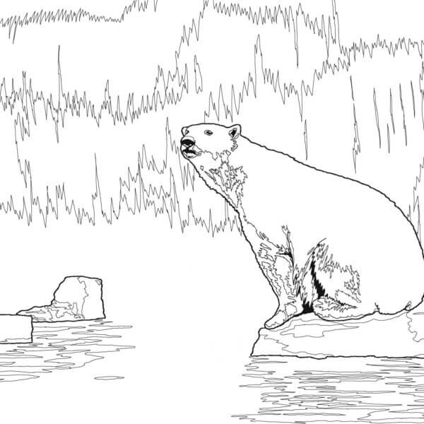 Fin Isbjørn fargeleggingsside