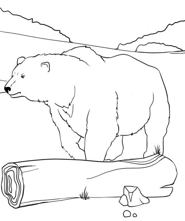 Isbjørn Og Tømmerstokker fargeleggingsside