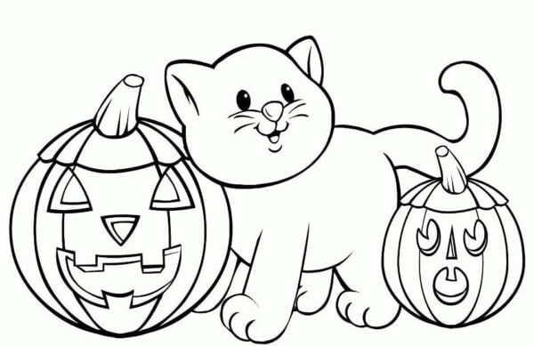 Katt Med Gresskar Av Halloween fargeleggingsside