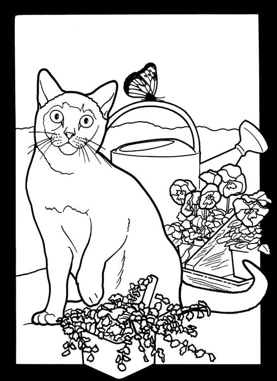 Katt Ved Siden Av Blomster Og En Vanningsanordning fargelegging