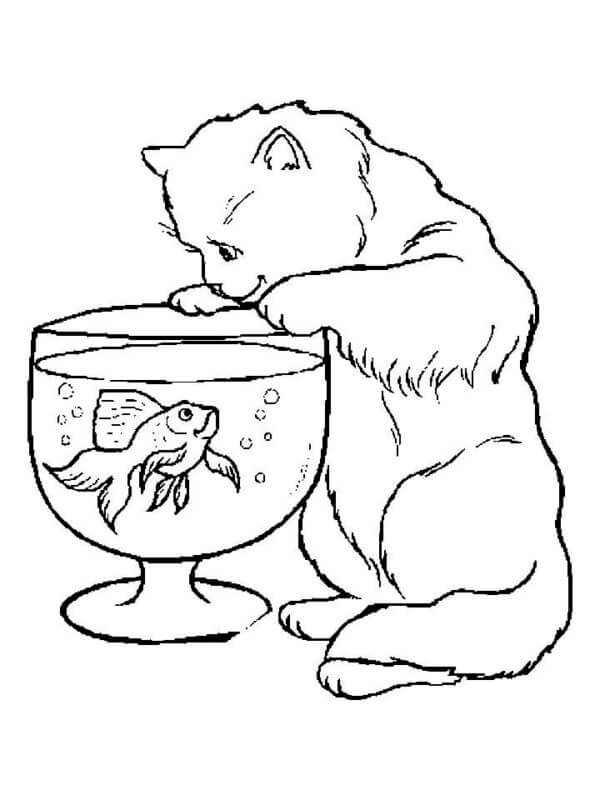 Katten Prøver å Bli Venn Med Fisken, Eller Kanskje Er Den Bare Sulten fargeleggingsside