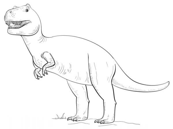 Kjempe Tyrannosaurus Rex fargeleggingsside