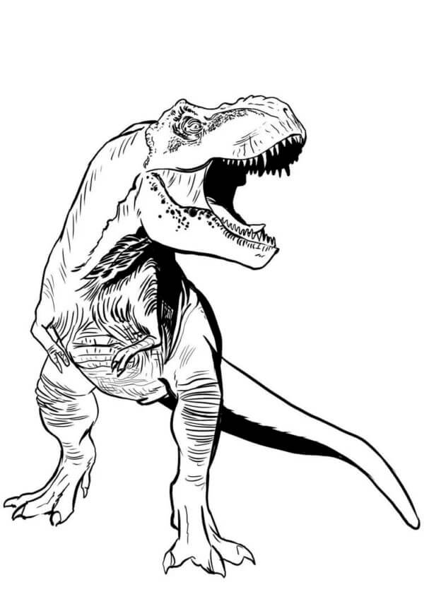 Kjempefin T-Rex fargelegging