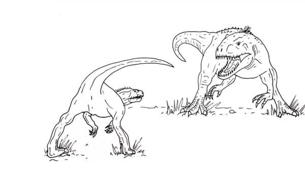 Konfrontasjon Mellom To Dinosaurer fargeleggingsside