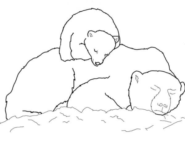 Mor Og Baby Isbjørn Sover fargeleggingsside