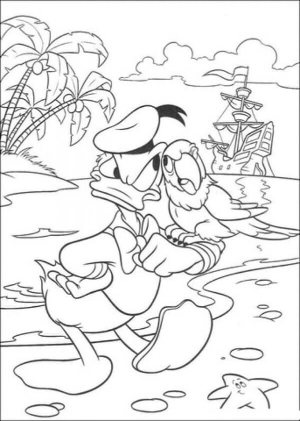 Pirat Donald Med En Papegøye fargelegging