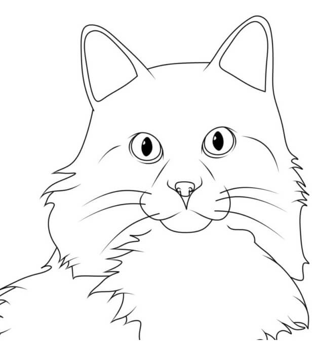 Sibirsk Katt fargeleggingsside