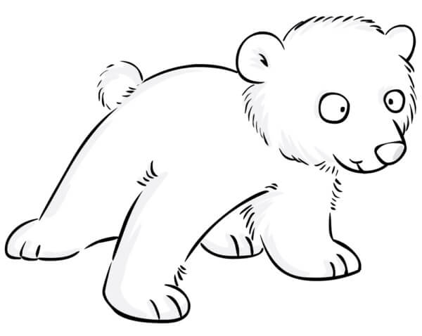 Søt Baby Isbjørn fargeleggingsside