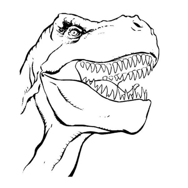Tegning Av T-Rex-Hode fargeleggingsside