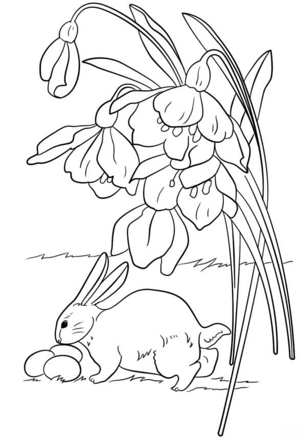 Lille Kanin Med Påskeegg Og Blomster fargelegging