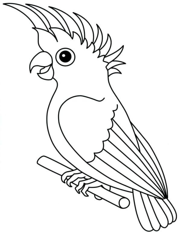 Kakaduen Er En Utrolig Vakker Og Intelligent Papegøye fargeleggingsside