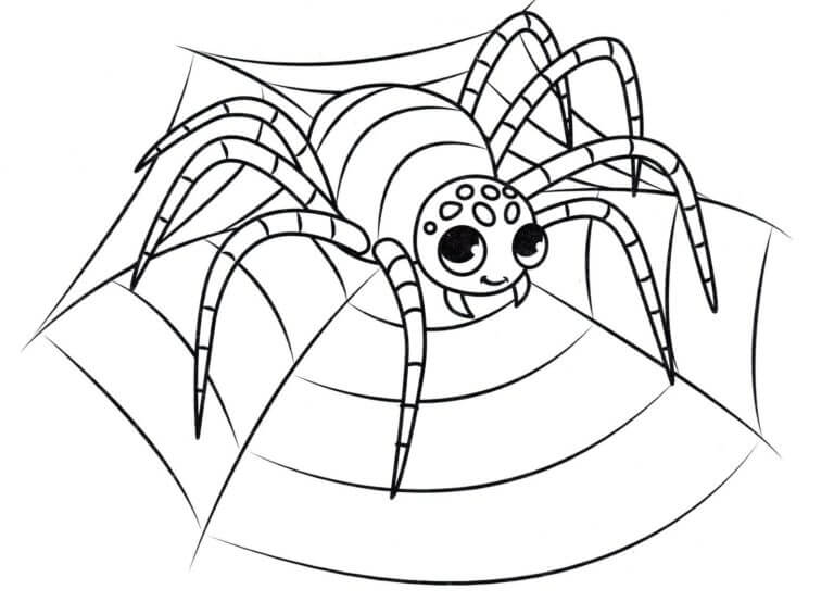 Bedårende Edderkopp fargeleggingsside