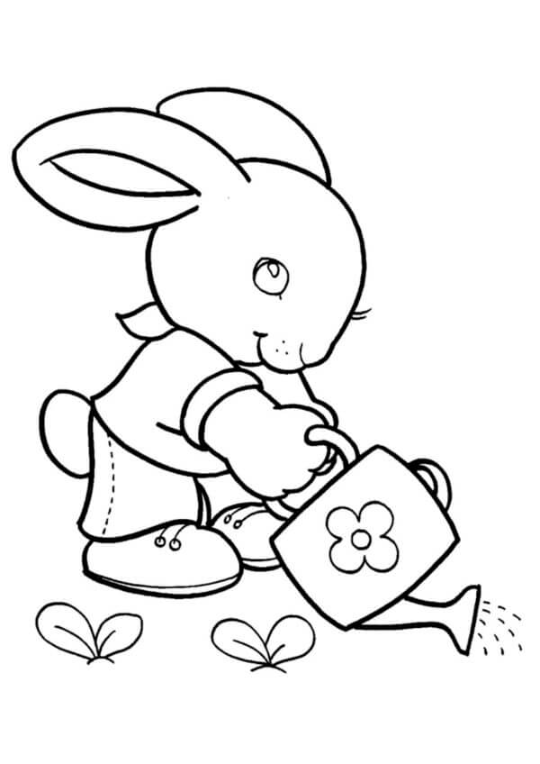 Den Lille Kaninen Vanner Blomstene fargeleggingsside