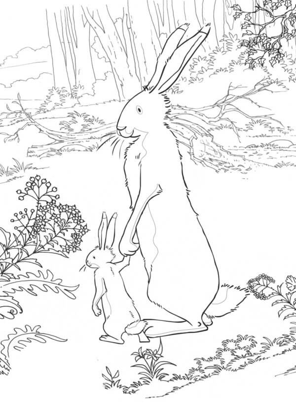 Den Store Haren Holder Sønnens Hånd i Skogen fargeleggingsside