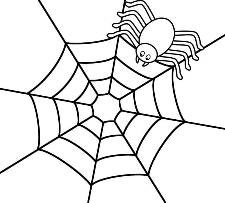 Edderkopp Og Nett fargeleggingsside